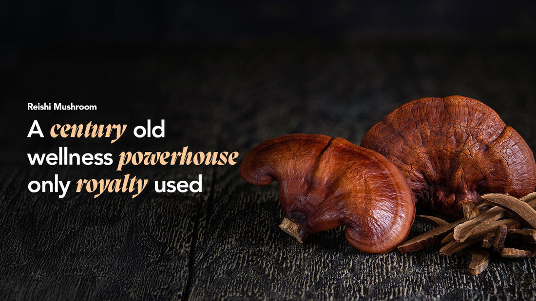 Reishi Paddenstoel: De Superfood voor Keizers
