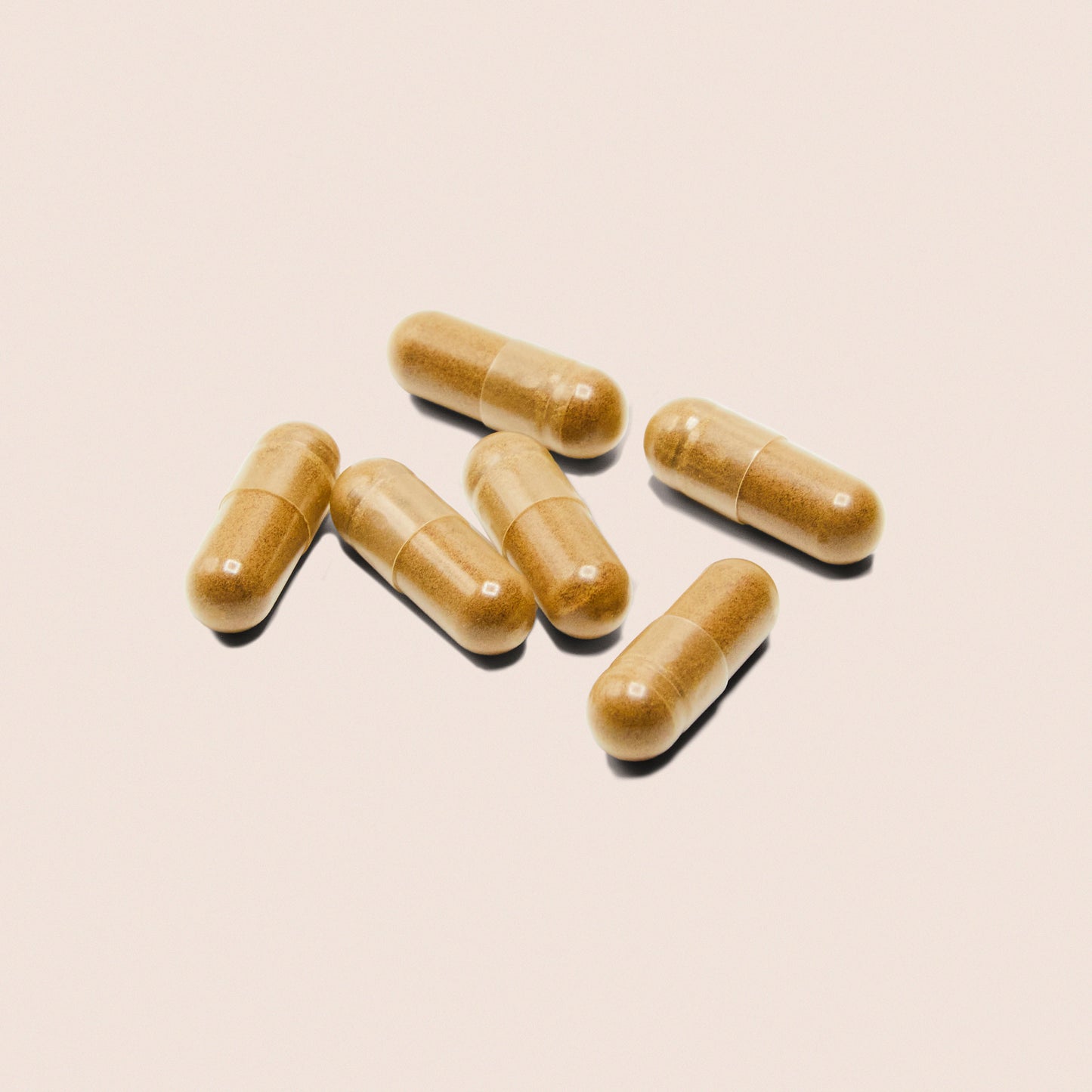 Premium paddenstoelenmix capsules