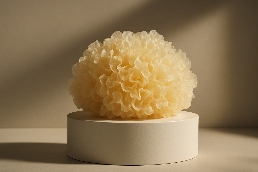Tremella: de paddenstoel voor huid en hydratatie