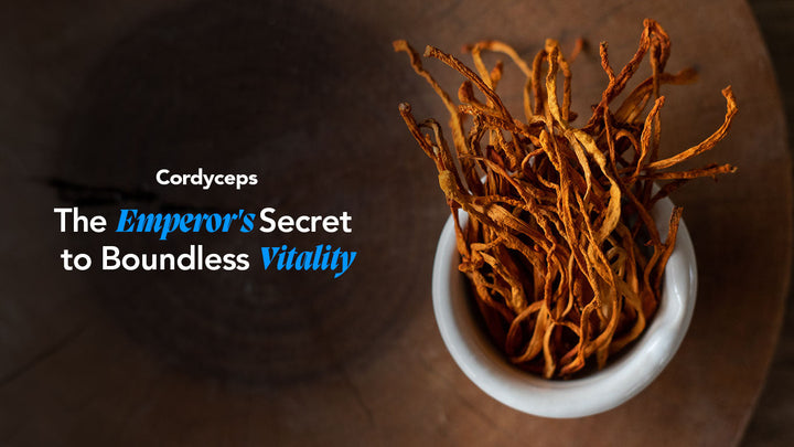 Cordyceps: De paddenstoel voor energie en vitaliteit