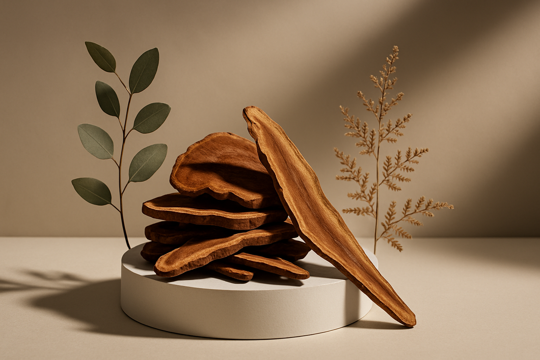 Beter slapen: een complete gids over slaap, stress en functionele paddenstoelen