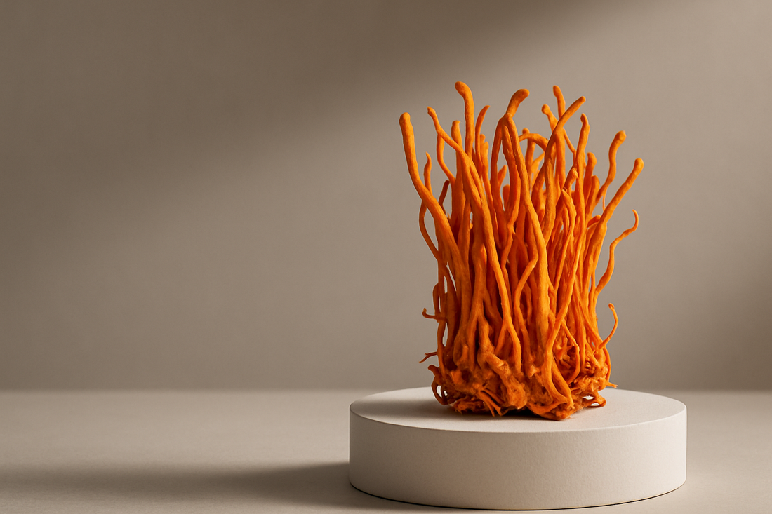 Cordyceps en sport: meer energie en uithoudingsvermogen