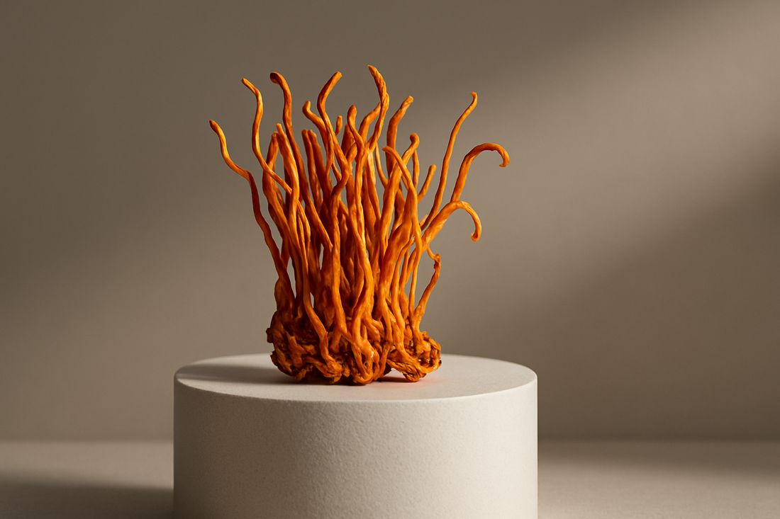 Cordyceps voor vrouwen: energie, hormonen en herstel tijdens de cyclus