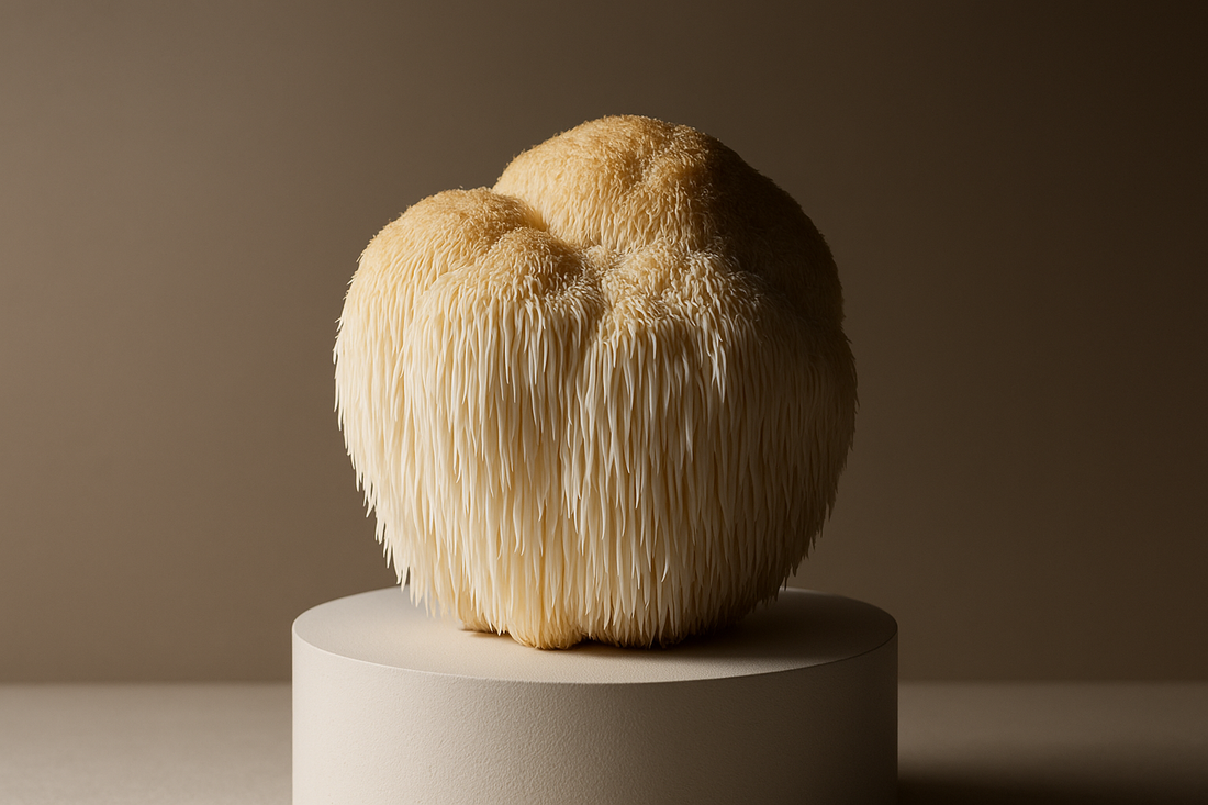 Lion's Mane en ADHD: wat vroeg onderzoek zegt over focus