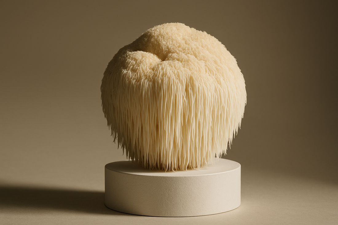 Lion's Mane en hersenschudding: wat vroeg onderzoek zegt