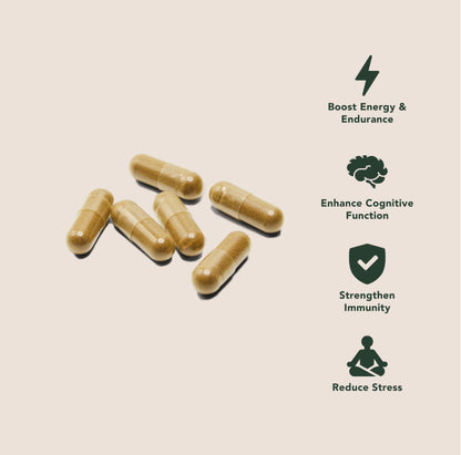 Premium paddenstoelenmix capsules